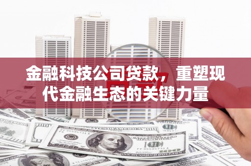 泸溪金融科技公司贷款，重塑现代金融生态的关键力量