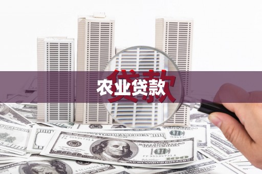 泸溪农业贷款