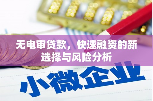 泸溪无电审贷款，快速融资的新选择与风险分析