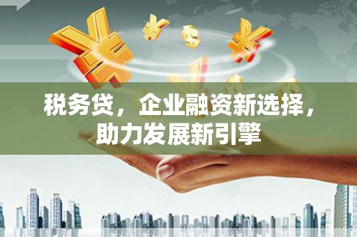 泸溪税务贷，企业融资新选择，助力发展新引擎