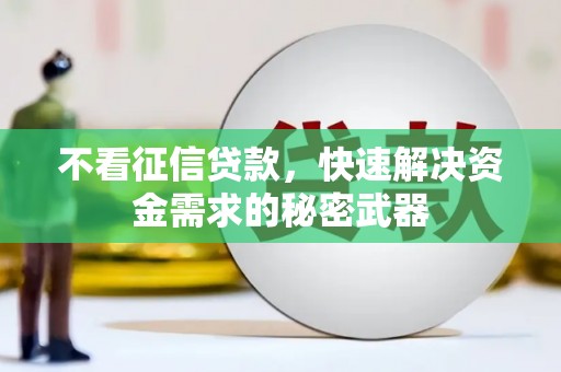 泸溪不看征信贷款，快速解决资金需求的秘密武器