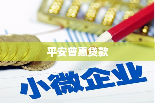泸溪平安普惠贷款