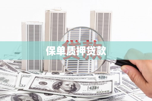 泸溪保单质押贷款