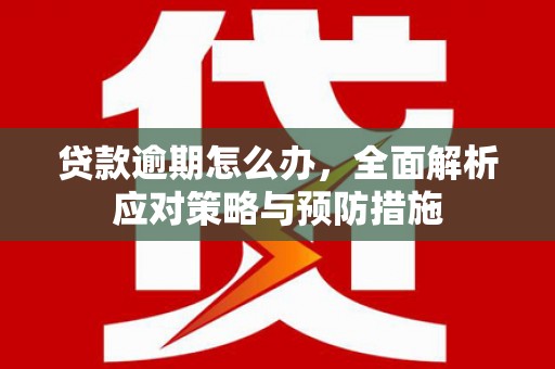 泸溪贷款逾期怎么办，全面解析应对策略与预防措施