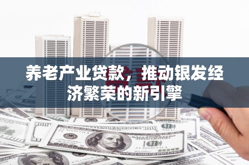 泸溪养老产业贷款，推动银发经济繁荣的新引擎