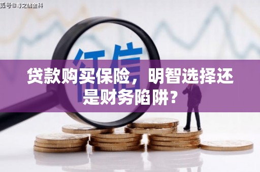 泸溪贷款购买保险，明智选择还是财务陷阱？