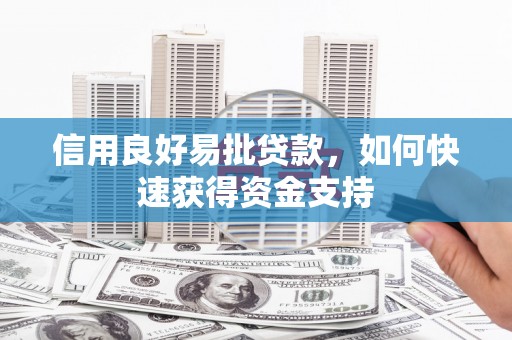泸溪信用良好易批贷款，如何快速获得资金支持
