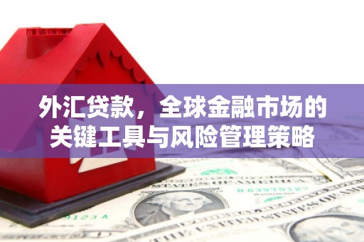 泸溪外汇贷款，全球金融市场的关键工具与风险管理策略