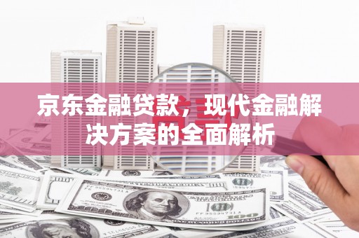 泸溪京东金融贷款，现代金融解决方案的全面解析