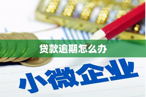 泸溪贷款逾期怎么办