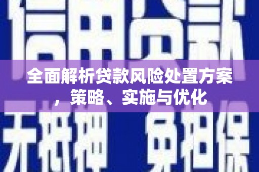 泸溪全面解析贷款风险处置方案，策略、实施与优化