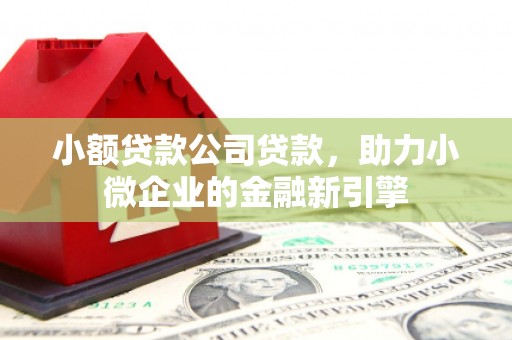 泸溪小额贷款公司贷款，助力小微企业的金融新引擎