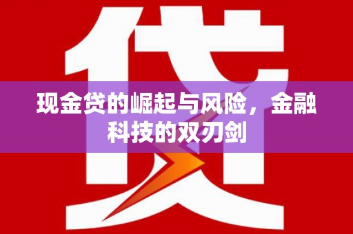 泸溪现金贷的崛起与风险，金融科技的双刃剑