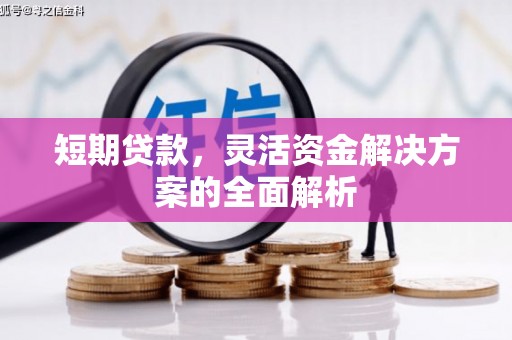 泸溪短期贷款，灵活资金解决方案的全面解析