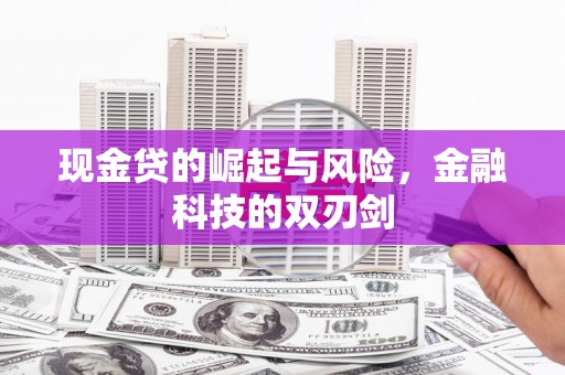 泸溪现金贷的崛起与风险，金融科技的双刃剑