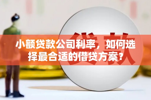 泸溪小额贷款公司利率，如何选择最合适的借贷方案？