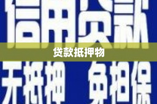 泸溪贷款抵押物