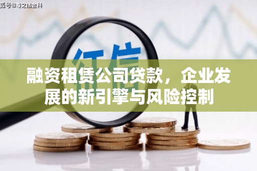 泸溪融资租赁公司贷款，企业发展的新引擎与风险控制