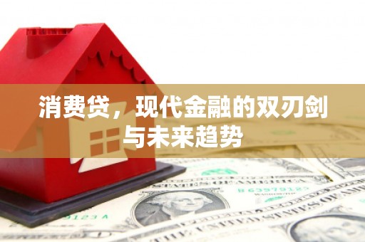泸溪消费贷，现代金融的双刃剑与未来趋势