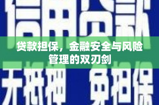 泸溪贷款担保，金融安全与风险管理的双刃剑