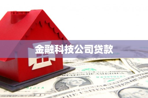 泸溪金融科技公司贷款