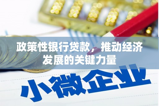泸溪政策性银行贷款，推动经济发展的关键力量