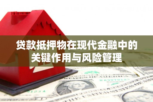 泸溪贷款抵押物在现代金融中的关键作用与风险管理