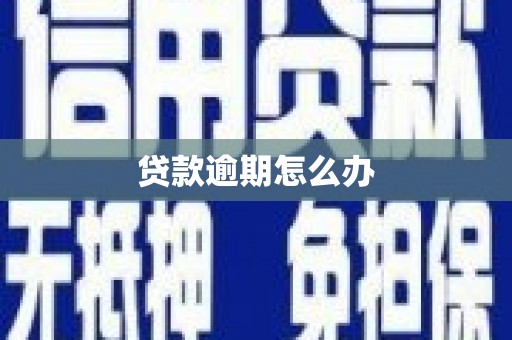 泸溪贷款逾期怎么办