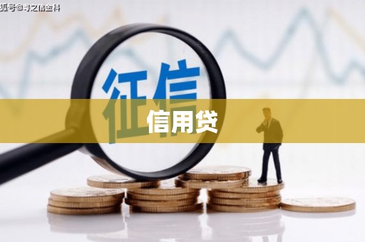 泸溪信用贷