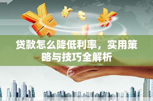 泸溪贷款怎么降低利率，实用策略与技巧全解析