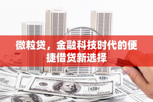 泸溪微粒贷，金融科技时代的便捷借贷新选择
