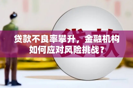 泸溪贷款不良率攀升，金融机构如何应对风险挑战？