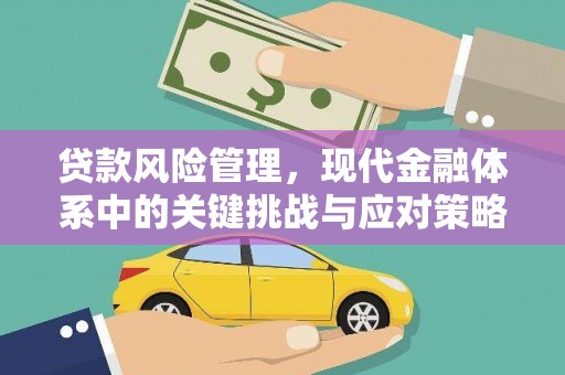 泸溪贷款风险管理，现代金融体系中的关键挑战与应对策略