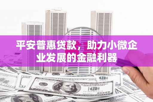泸溪平安普惠贷款，助力小微企业发展的金融利器
