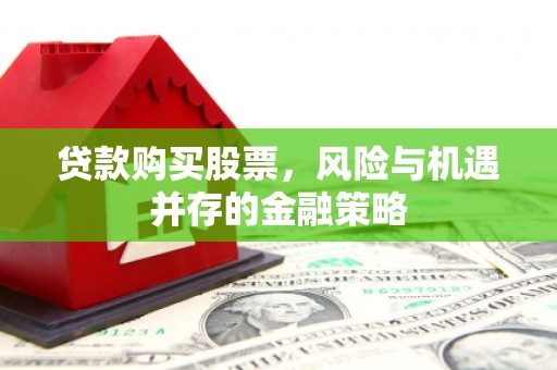 泸溪贷款购买股票，风险与机遇并存的金融策略