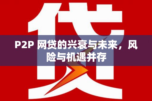 泸溪P2P 网贷的兴衰与未来，风险与机遇并存