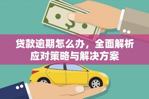 泸溪贷款逾期怎么办，全面解析应对策略与解决方案