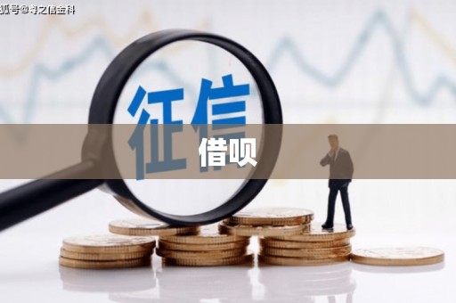 泸溪借呗
